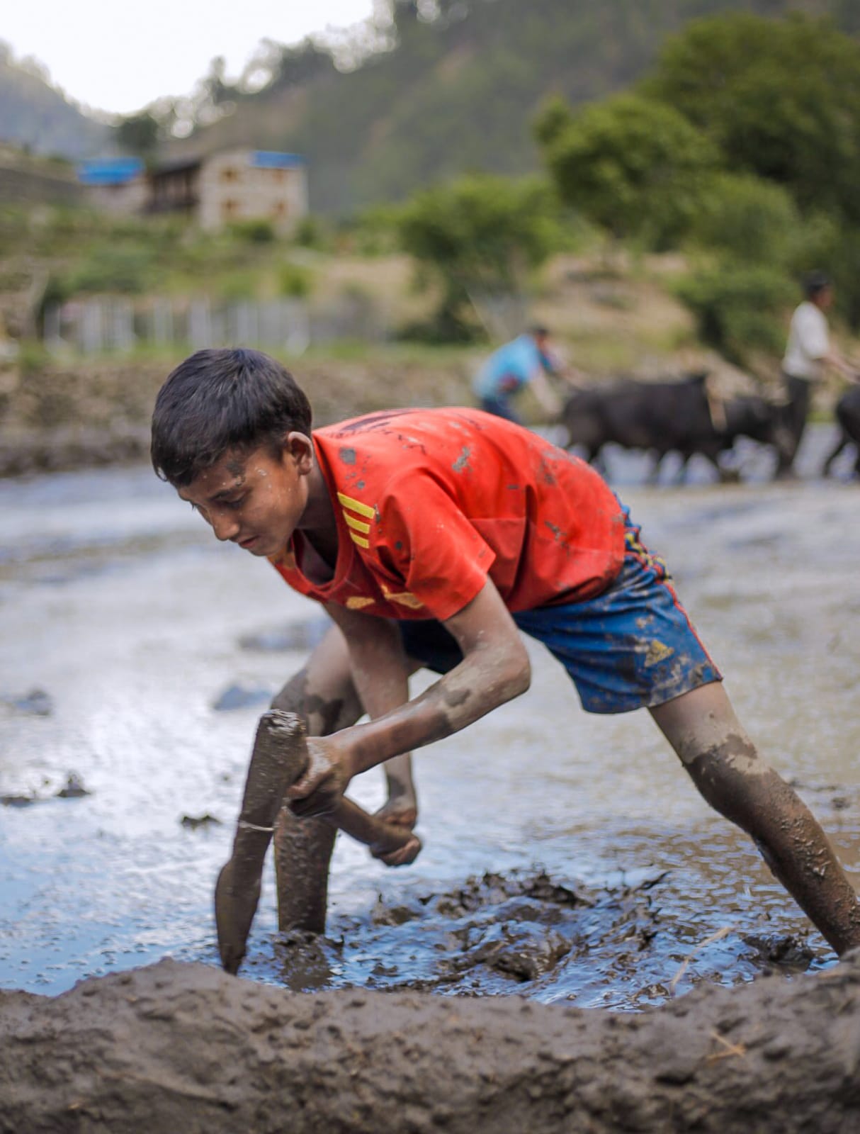 तस्विरः अनुप शाही, सर्केगाड, हुम्ला