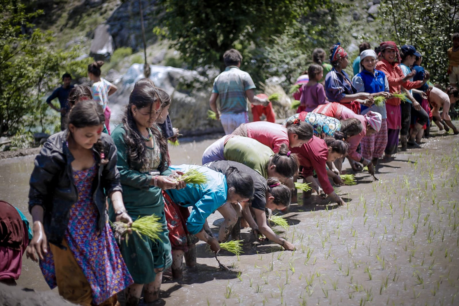 तस्विरः अनुप शाही, सर्केगाड, हुम्ला